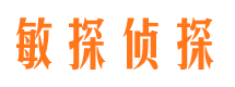 玛多侦探公司